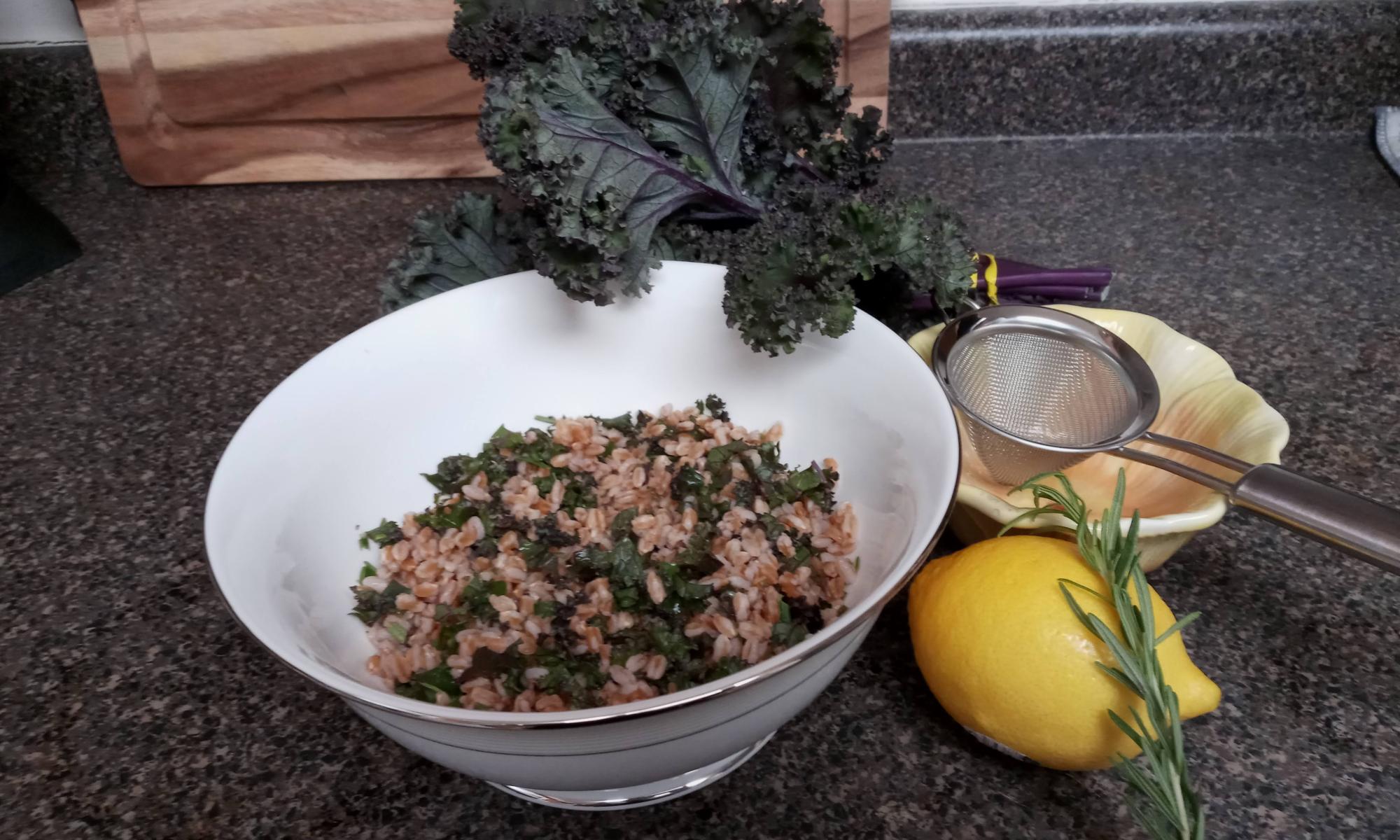 bariatric patient diet